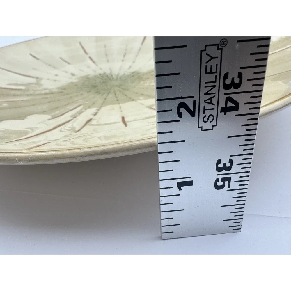 Pier 1 Sanctuary Ceramic Stoneware Dinner Plates Set Of 5 Starburst